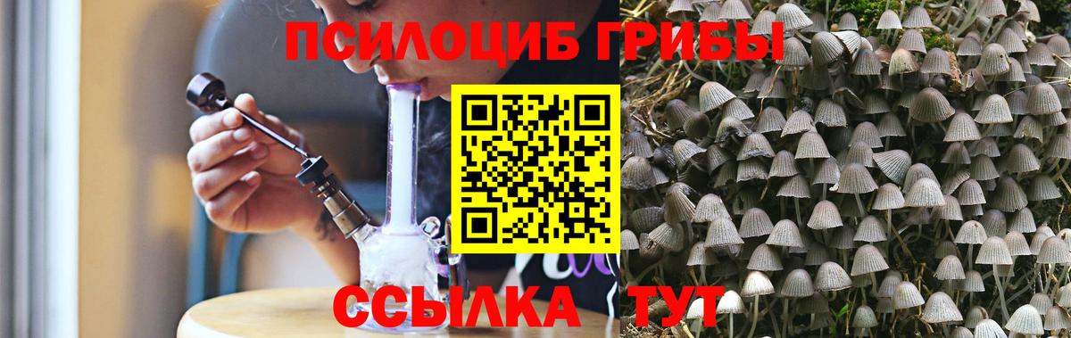 Галлюциногенные грибы Psilocybe  Псилоцибиновые грибы прущие грибы  продажа наркотиков  Туапсе  Вход с VPN 